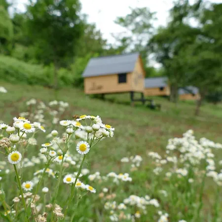 Casa Baladin Di Charme بيت ضيافة Piozzo
