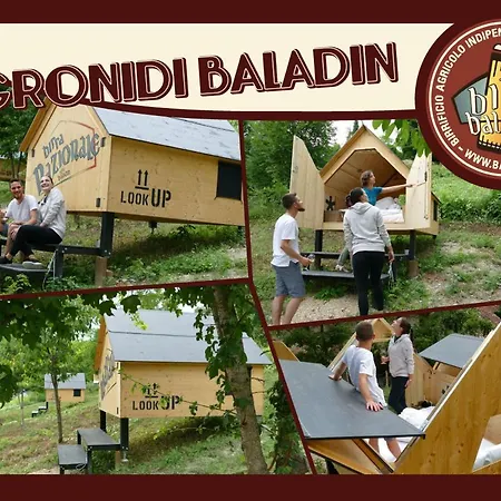 Guest house Casa Baladin Di Charme E Agronidi Dell'open Garden Piozzo